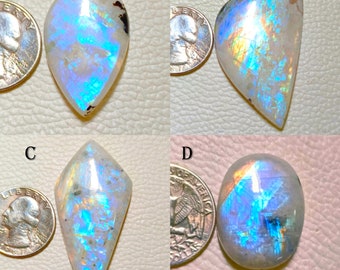 May include: Four polished moonstone gemstones in various shapes: teardrop, irregular, kite, and oval. Each stone displays a milky white base with iridescent blue and rainbow flashes. A US quarter coin is next to each stone for size reference.