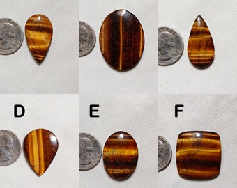 May include: Six polished tiger's eye gemstones in various shapes: teardrop, oval, and square. The gemstones display bands of golden brown and dark brown colors. A quarter coin is next to each gemstone for size comparison.
