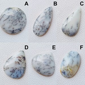 K&ouml;nnte beinhalten: Sechs polierte dendritische Opal-Edelsteine in verschiedenen Formen. Die Opale sind wei&szlig; mit schwarzen und braunen dendritischen Einschl&uuml;ssen. Die Formen umfassen runde, tropfenf&ouml;rmige und unregelm&auml;&szlig;ige Formen. Die Edelsteine werden auf einer hellen Oberfl&auml;che pr&auml;sentiert.