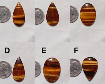 May include: Six polished tiger's eye gemstones in various shapes: teardrop, oval, and pointed. The stones display bands of brown, gold, and black. A quarter coin is next to each stone for size comparison. The gemstones are on a light-colored surface.
