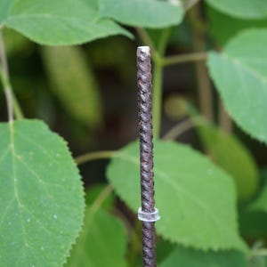 May include: A close-up shot of a dark brown metal stake with a clear plastic ring, possibly for supporting plants. The stake has a textured surface, set against green leaves.