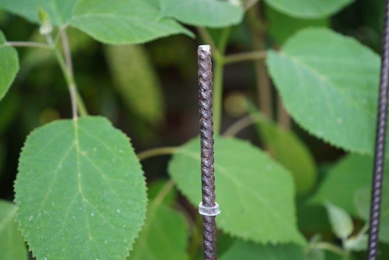May include: A close-up shot of a dark brown metal stake with a clear plastic ring, possibly for supporting plants. The stake has a textured surface, set against green leaves.