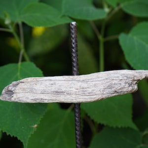 May include: A piece of weathered driftwood, light grey in colour, is suspended horizontally against a backdrop of green leaves. The wood has a rough, textured surface and is held in place by a dark metal rod.