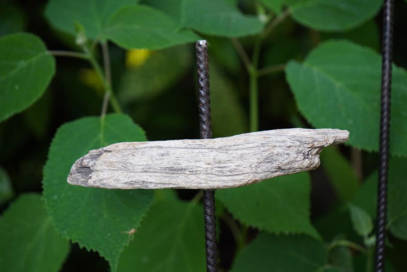 May include: A piece of weathered driftwood, light grey in colour, is suspended horizontally against a backdrop of green leaves. The wood has a rough, textured surface and is held in place by a dark metal rod.