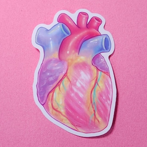 Kawaii Anatomical Heart - Glossy Vinyl Sticker