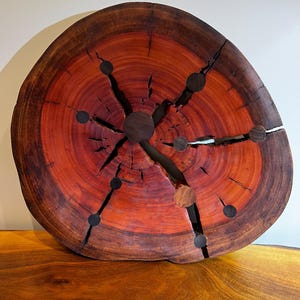 May include: A large, round wooden slab with a vibrant red-orange center and dark brown outer rings. The wood features natural cracks and dark, circular inlays. The piece is displayed on a wooden surface, showcasing its natural grain and texture.