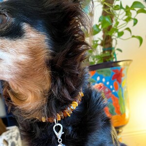 Pet Collar Pendant With Rose Quartz + Unakite + Lepidolite