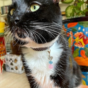 Pet Collar Pendant With Rose Quartz + Fluorite