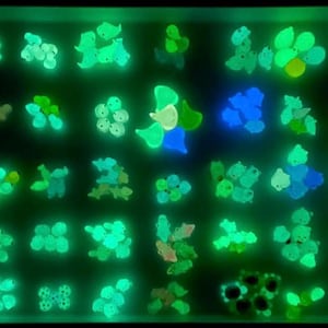 May include: A tray filled with glow-in-the-dark charms in various shapes and colors, including green, blue, and white. The charms are arranged in rows and columns, creating a visually appealing pattern.
