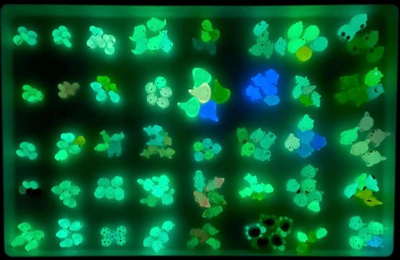 May include: A tray filled with glow-in-the-dark charms in various shapes and colors, including green, blue, and white. The charms are arranged in rows and columns, creating a visually appealing pattern.