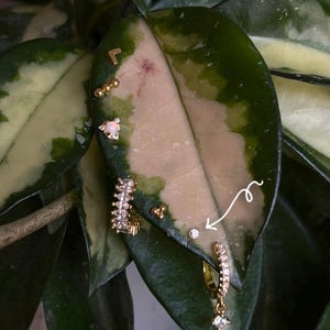 May include: A collection of gold-toned earrings and studs, including a small hoop with dangling charm, a triangle stud with an opal, and a small, curved stud. The jewelry is displayed on a green and cream-colored leaf.