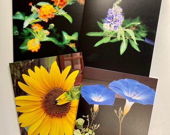 Flower Power, 4 Cards & Envelopes