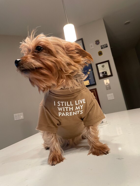 etsy custom dog shirt