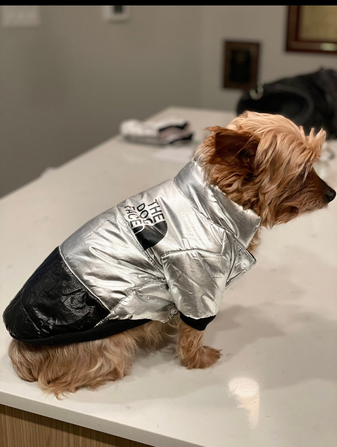 Bomber Dog Jacket Puffy Custom Dog Jacket Custom Dog Shirt Etsy
