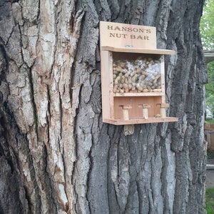 May include: A wooden nut bar feeder attached to a tree trunk. The feeder has a clear front panel filled with peanuts and the text "HANSON'S NUT BAR" on top. The tree bark is textured and gray.