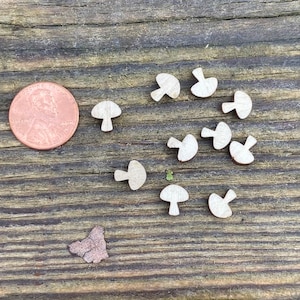 May include: A collection of ten small, white wooden mushroom shapes on a brown wooden surface. The mushrooms are about the size of a US penny.