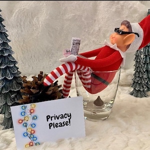 Elf Naughty Elf Scene Kit, Privacy Please, Elf Pooping, Single Scene ...
