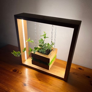 May include: A wooden planter box with a green plant, suspended by chains within a dark wooden frame. The frame has a built-in light strip. The planter box is lined with green moss. The entire structure sits on a wooden surface.