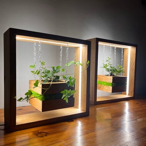 May include: Two wooden framed planters with integrated LED lighting. Each planter features a suspended wooden box filled with greenery and moss, hanging from chains. The frames have a dark exterior and a lighter interior.