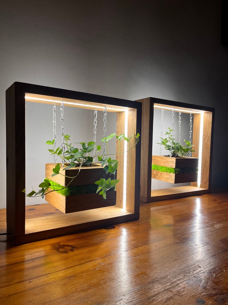 May include: Two wooden framed planters with integrated LED lighting. Each planter features a suspended wooden box filled with greenery and moss, hanging from chains. The frames have a dark exterior and a lighter interior.