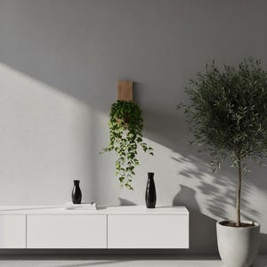 Puede incluir: Escena interior moderna con un mueble blanco, dos jarrones negros y una pequeña pila de libros. Una planta colgante en una maceta de madera está montada en la pared. Un olivo en maceta se encuentra a la derecha, contra una pared gris.