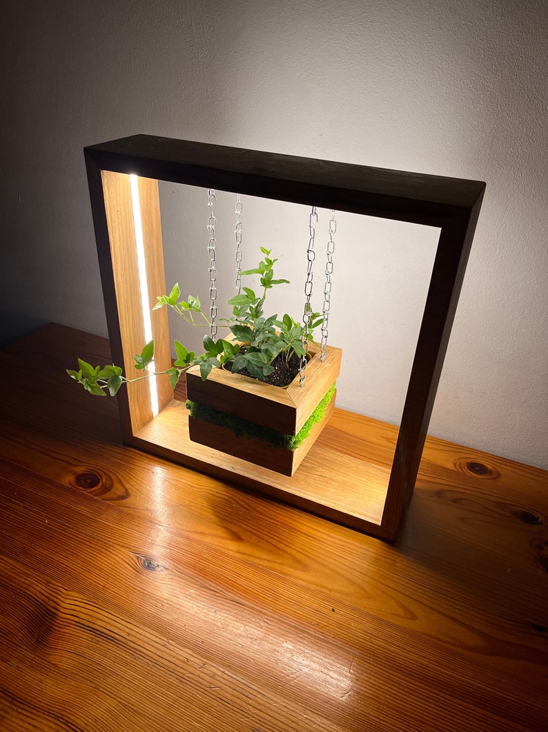May include: A wooden planter box with a green plant, suspended by chains within a dark wooden frame. The frame has a built-in light strip. The planter box is lined with green moss. The entire structure sits on a wooden surface.