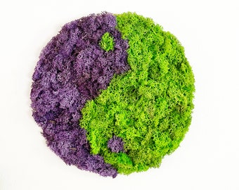 Yin Yang Preserved Moss Wall Hanging