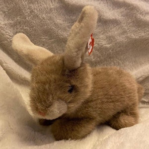 Gorgeous Buttons the Bunny Rabbit stuffed animal, Hare, TY 10&quot;