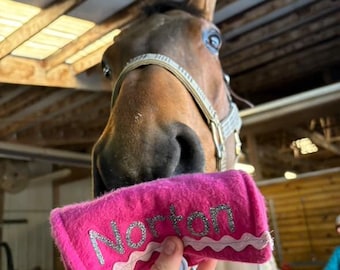 Personalized Horse Bit warmer
