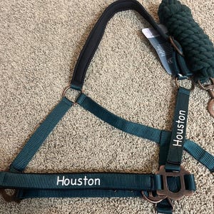Personalized Padded Horse Halter with Lead Rope