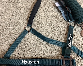Personalized Padded Horse Halter with Lead Rope