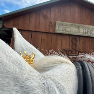 May include: A close-up of a white horse's ear with a small, gold-colored crown. The crown is intricately designed. The background features a wooden structure and a sign that reads "GATHER HERE".