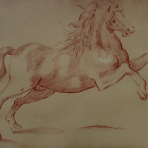 Interesting Old masters red charcoal study of a horse - drawing (collector / gallery stamped on verso)