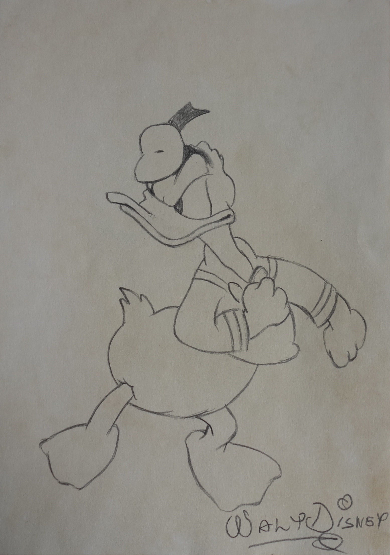 Cartoon character study - drawing with signature inscription and stamped on verso