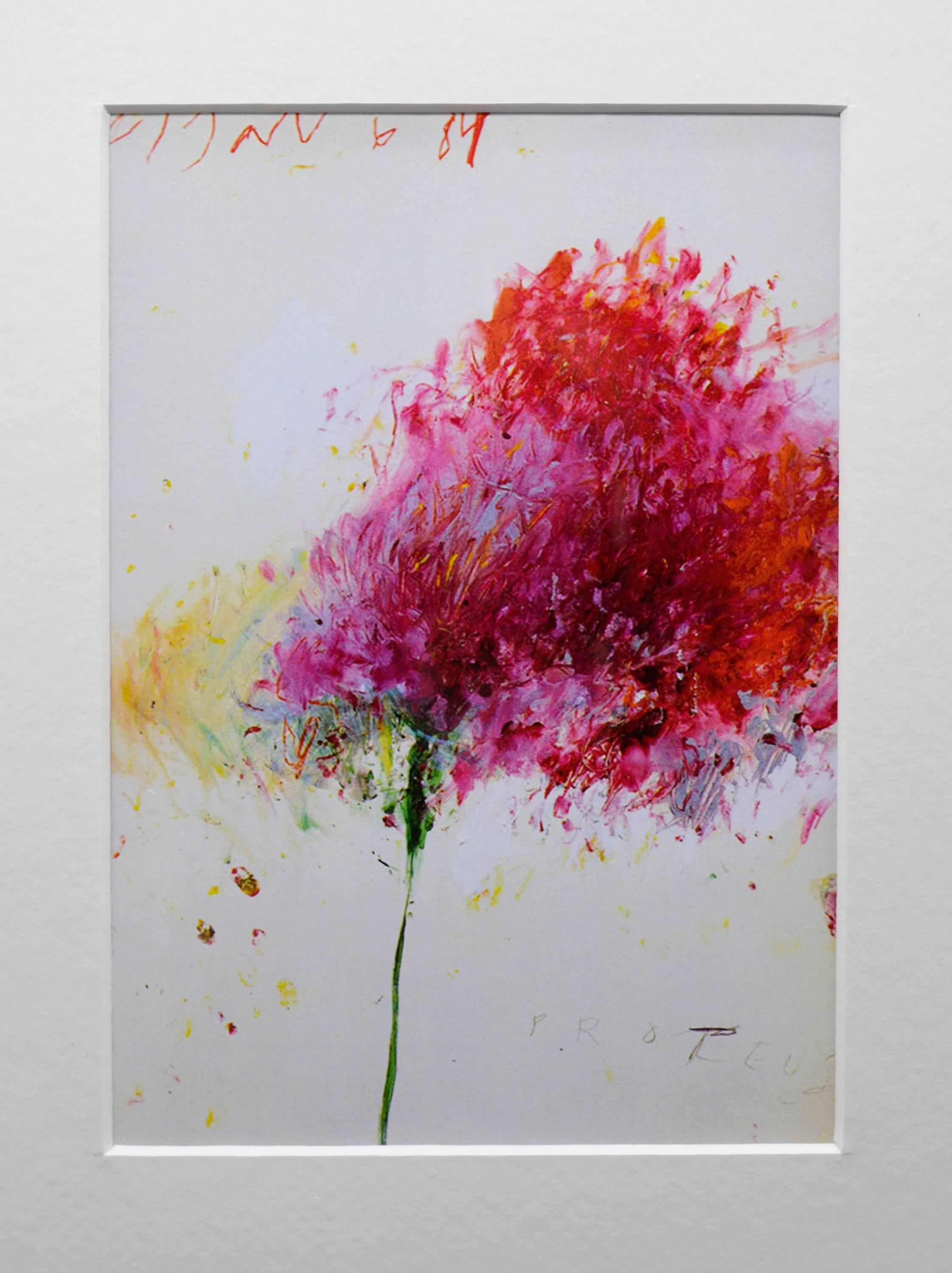 Cy Twombly Expressive Limited Publication Fine Art Print – Flowers