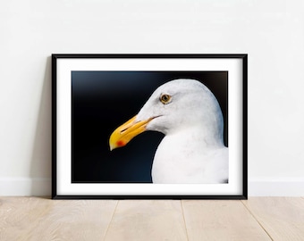 Möwe im Profil - Fine Art Fotografie - Wildtiere - Natur Fotografie Print - Home Decor - Wand Kunst - Geschenk