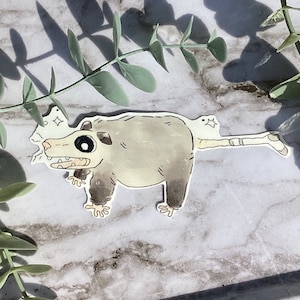 Stickers Opossum pour chaussettes