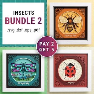 3D Insekten Shadow Box Bundle, Schmetterling Shadow Box SVG, Natur Papierschnitt, Tiere, Dateien für Cricut mit einfacher Anleitung
