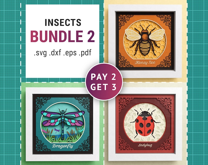 Insects 3D Shadow Box SVG Bundle/ 3D Mandala Insects/ Summer Cricut ...