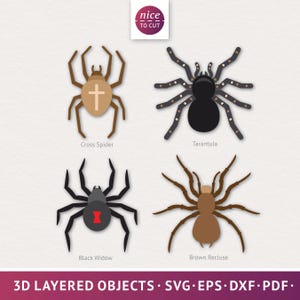Ensemble Halloween araignée SVG 3D, araignée croisée, tarentule, veuve noire et recluse brune, fichiers Halloween intérieur pour Cricut avec instructions
