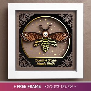 3D Totenkopf Hawk Moth Shadow Box, Death Head Moth 3D SVG, Schmetterling Papercut, Halloween, Motte Dateien für Cricut mit einfachen Anweisungen