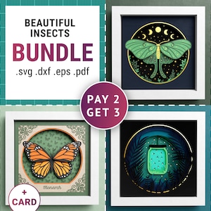 3D Insects Shadow Box Bundle, Butterfly Shadow Box SVG, Nature Layered Papercut, Animals, Files For Cricut with Easy Instructions