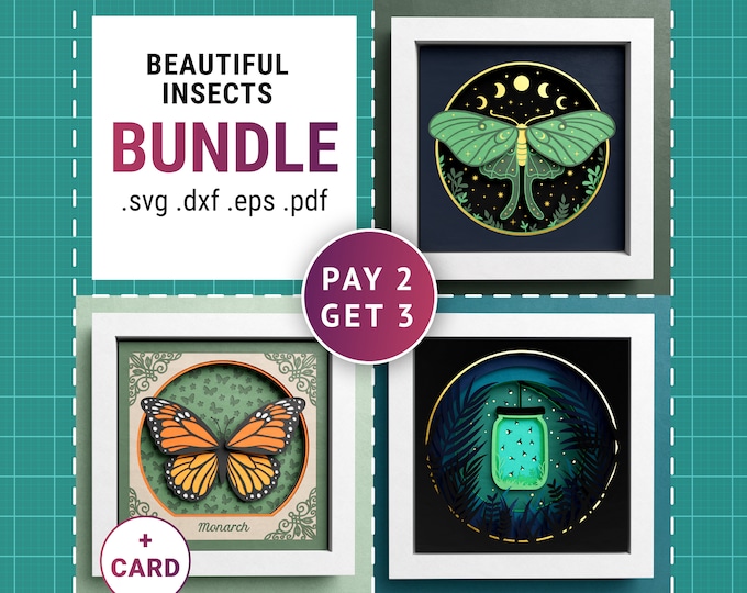 Insects 3D Shadow Box SVG Bundle/ 3D Mandala Insects/ Summer Cricut ...