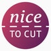 Nicetocut store logo