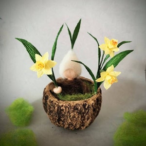 small daffodil child, root child felted in a Brazil nut shell, mother earth seedling, seasonal table, spring