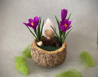 small crocus child, root child felted in a Brazil nut shell, Mother Earth seedling, seasonal table, spring