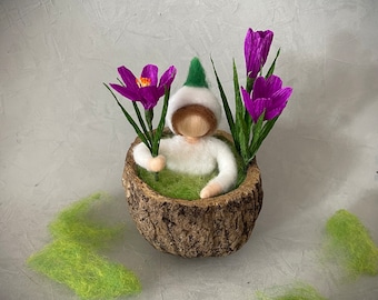 small crocus child, root child felted in a Brazil nut shell, Mother Earth seedling, seasonal table, spring