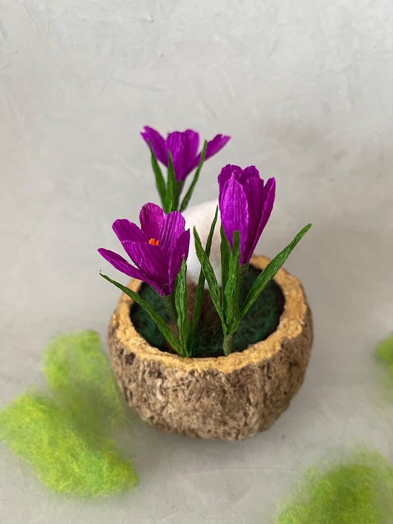 Little Crocus Child, Root Child Felted in a Brazil Nut Shell Mother ...