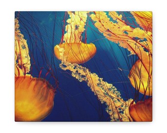 Jellyfish in the Sea Canvas Art - Ocean Life, Nature, Serenity, Aquatic Beauty