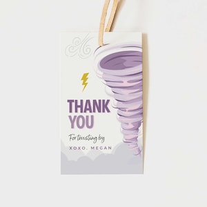 Party Inspo Two Nado Birthday Decorations Girl, Tornado Birthday Party Supplies Set, Whirlwind 2nd Party Decor With Backdrop Pink Purple Balloon